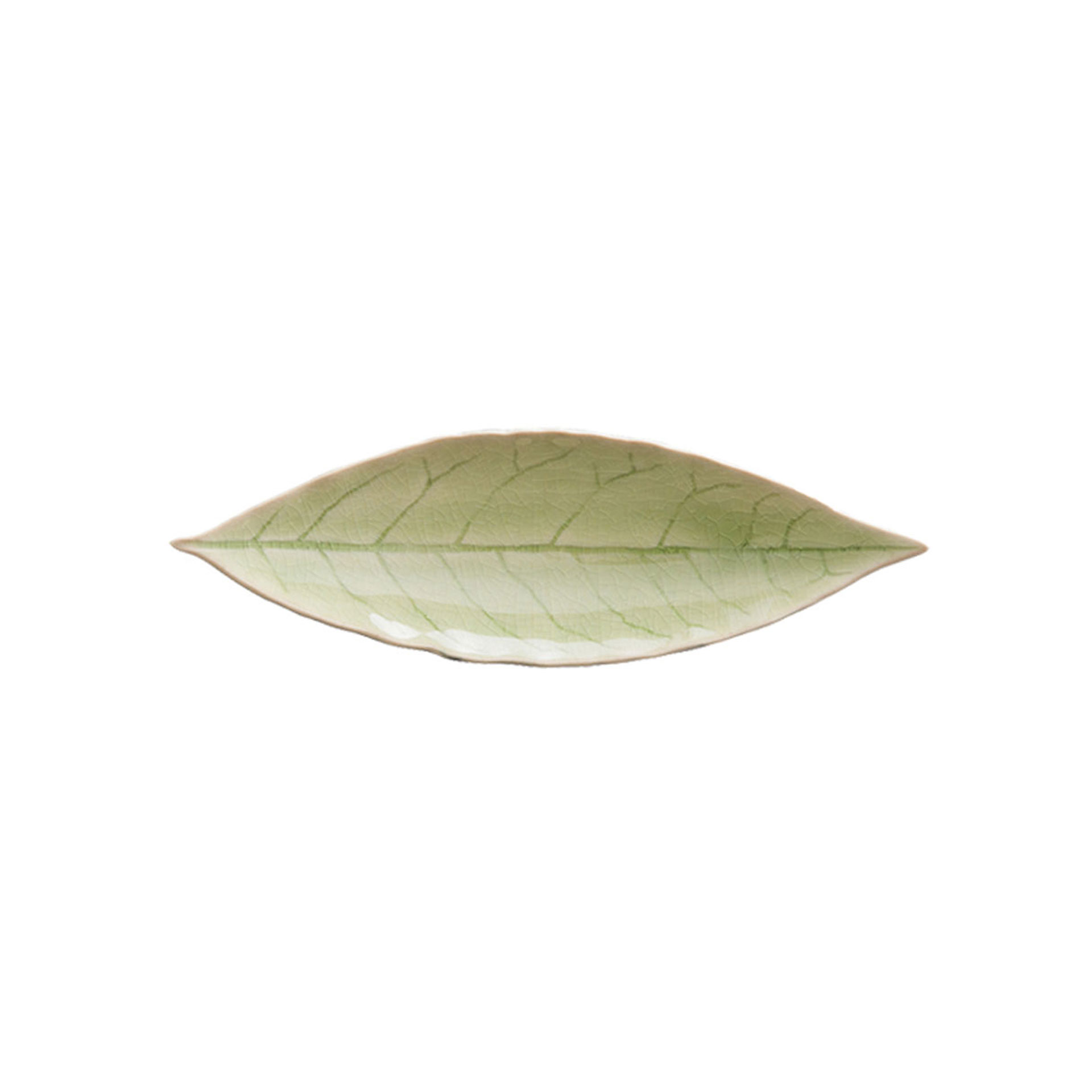 6 RIVIERA VERT FRAIS LAUREL LEAF