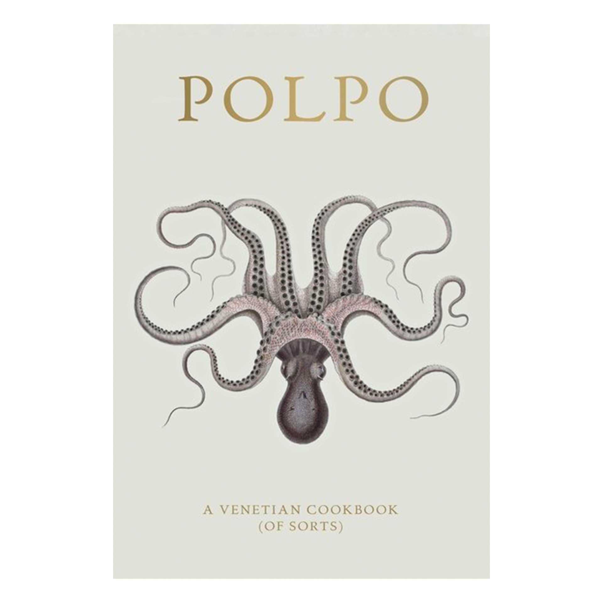 LIBRO POLPO